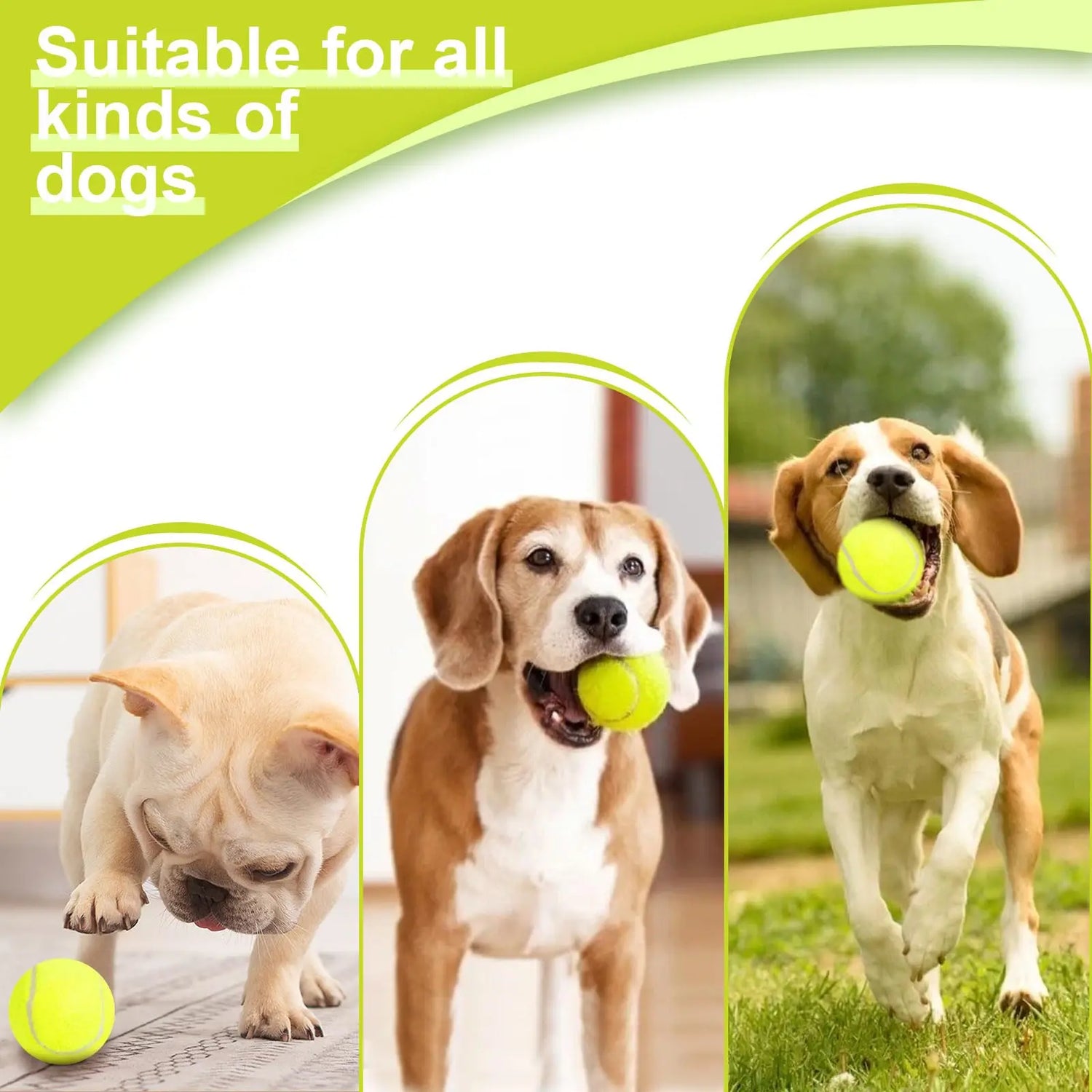Dog-Products NomadNest